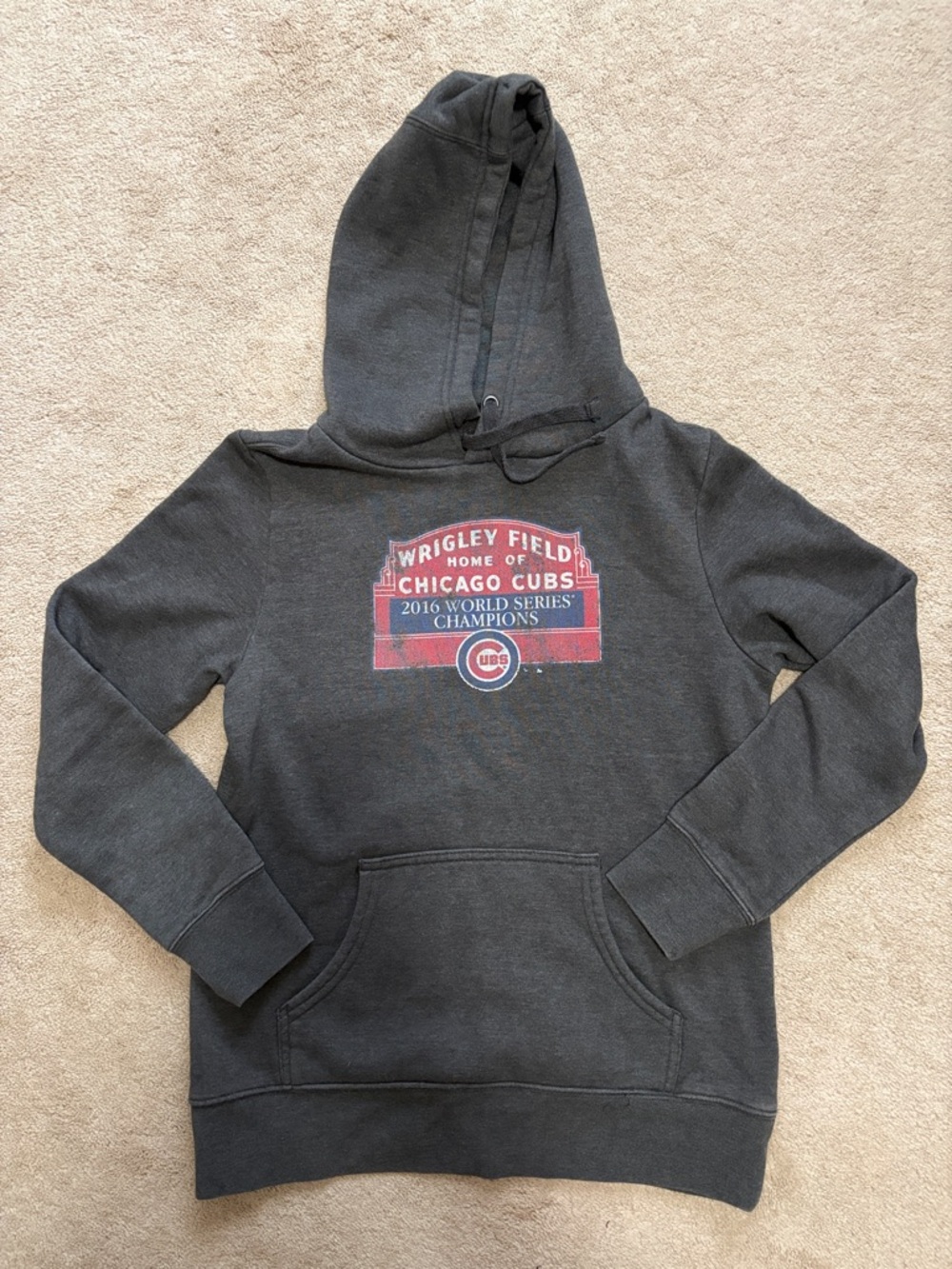 Fanatics MLB Chicago Cubs 2016 Champion Dark Gray Hooded Sweatshirt Size Small